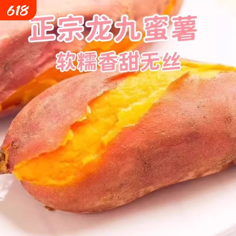 红薯新鲜河南开封农家老品种黄心现挖沙地龙九番薯蜜薯软糯香甜