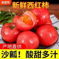正宗沙瓤番茄商超品质西红柿5斤小果自然熟生吃蔬菜水果年货节