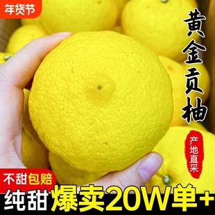 湖南特产怀化洪江黄金贡柚春香桔柚新鲜甜柚湖南金桔柚柚礼盒纯甜