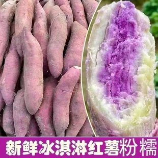 广东茂名正宗沙地冰淇淋红薯一点红番薯新鲜现挖板栗花心地瓜蜜薯