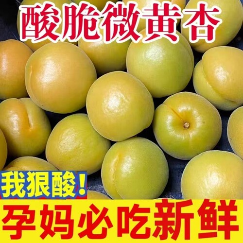 山西大黄杏头茬当季新鲜水果