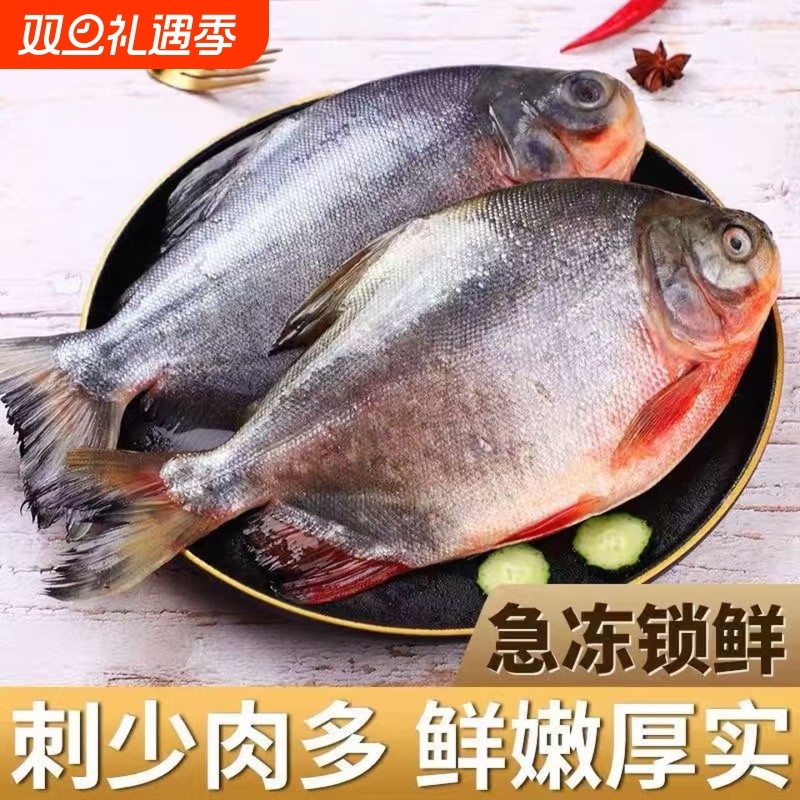 特大红鲳鱼新鲜海鱼冷冻腹鲜活金昌鱼平鱼金鲳银鲳鱼白鲳淡水