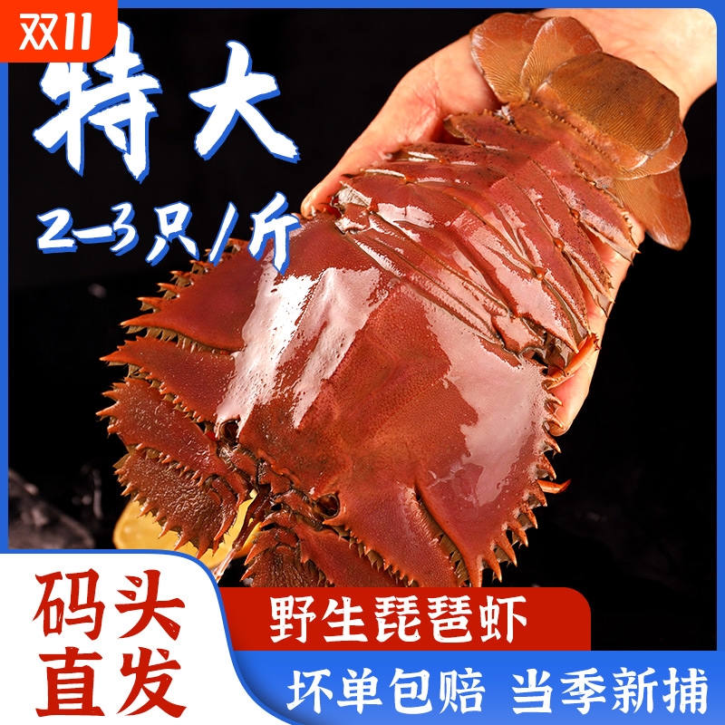 舟山琵琶虾新鲜九齿扇虾海鲜虾姑特大濑尿虾生鲜水产鲜活冷冻爬虾