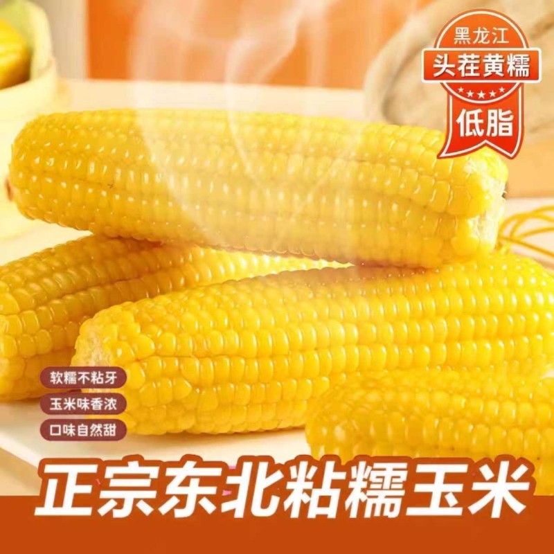 正宗东北新鲜黄糯玉米苞米软糯拉丝独立真空包装寒地黑土一年一季