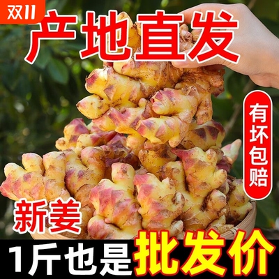 2025正宗云南小黄姜5斤新鲜嫩姜生姜沙姜蔬菜嫩姜仔姜整箱农家