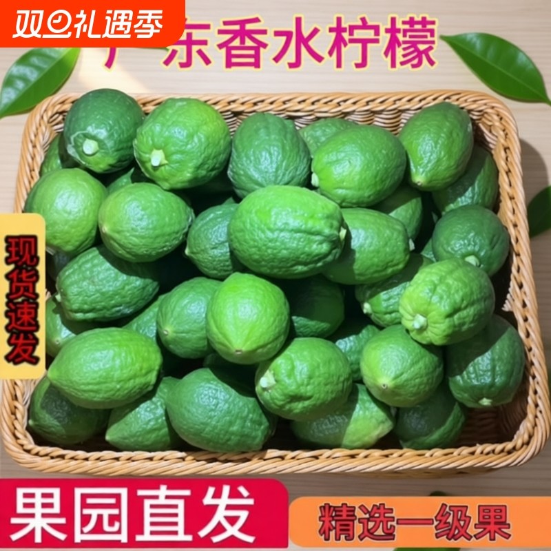 新鲜正宗广东无籽香水柠檬一级果绿青柠檬奶茶店专用手打现摘
