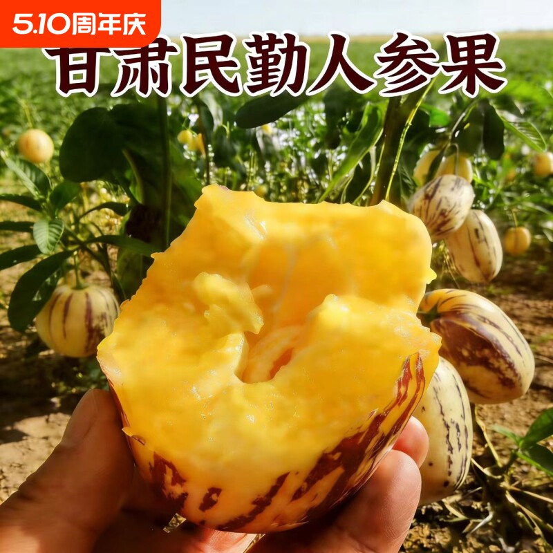 甘肃民勤人参果黄肉特大果长果应季正宗新鲜水果包邮