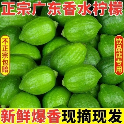 正宗广东香水柠檬新鲜采当季水果