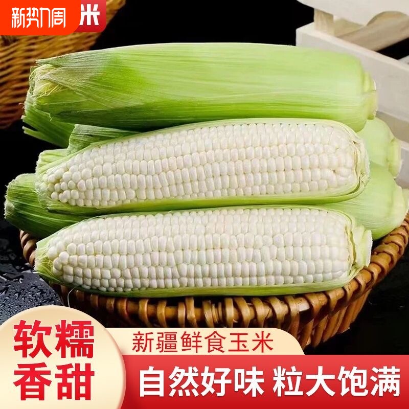广西农家新鲜采摘白糯牛奶玉米当季现摘嫩苞谷代餐甜糯玉米棒子
