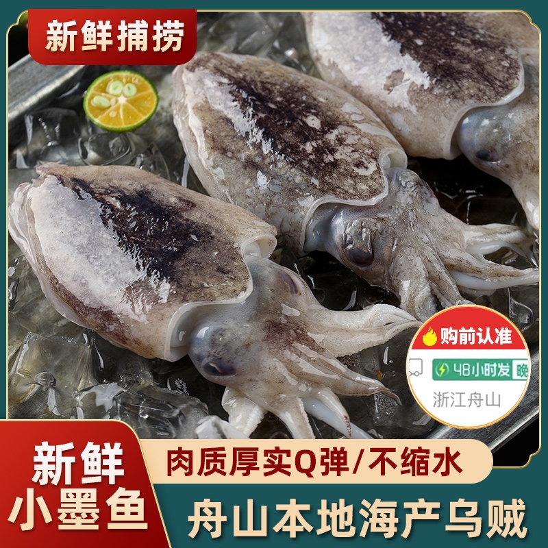 真正舟山小墨鱼新鲜墨鱼仔超大号冷冻生海鲜鲜活水产大乌贼目鱼