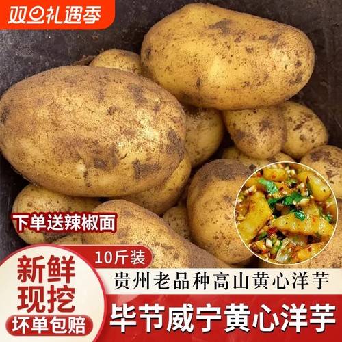 新货黄心土豆黄皮沙面粉糯新鲜现挖马铃薯洋芋