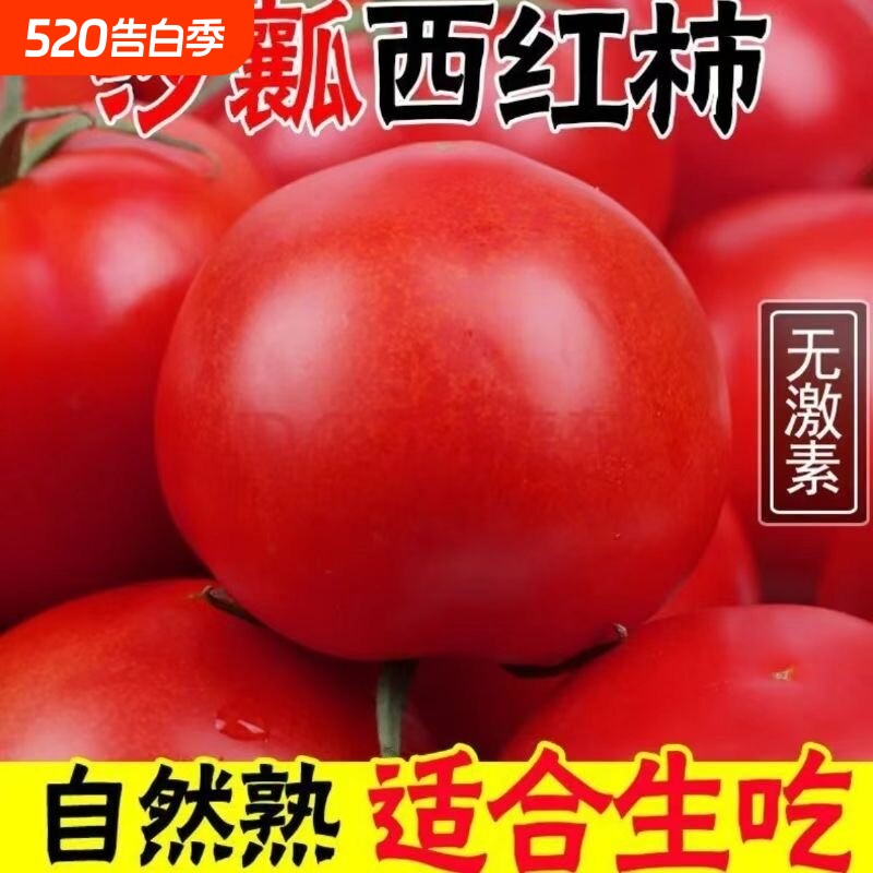 番茄新鲜自然熟沙瓤西红柿生吃当季整箱非普罗旺斯农家自种现摘现
