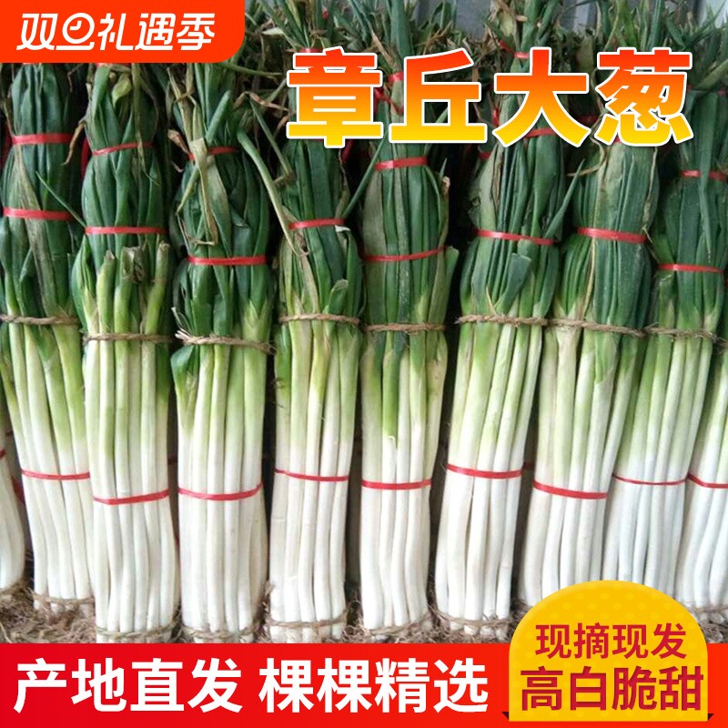 山东章丘大葱新鲜9斤甜葱