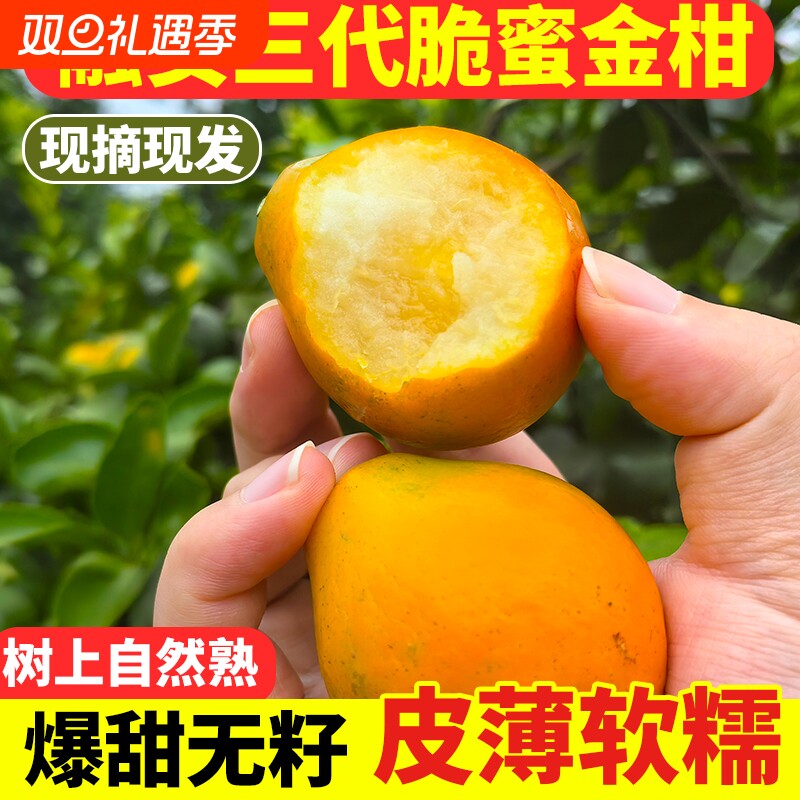 【顺丰包邮】广西融安第三代脆蜜金柑无籽金桔新鲜水果大果纯甜