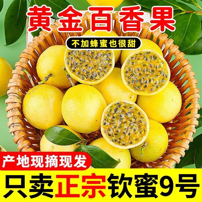 钦蜜9号黄金百香果新鲜鲜果5斤应季当季孕妇水果百香果大果纯甜果