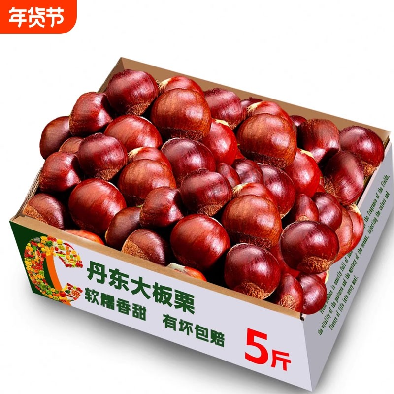 2026新鲜板栗丹东5斤鲜栗子生大嫩板粟锥栗野生批发 新油板栗仁