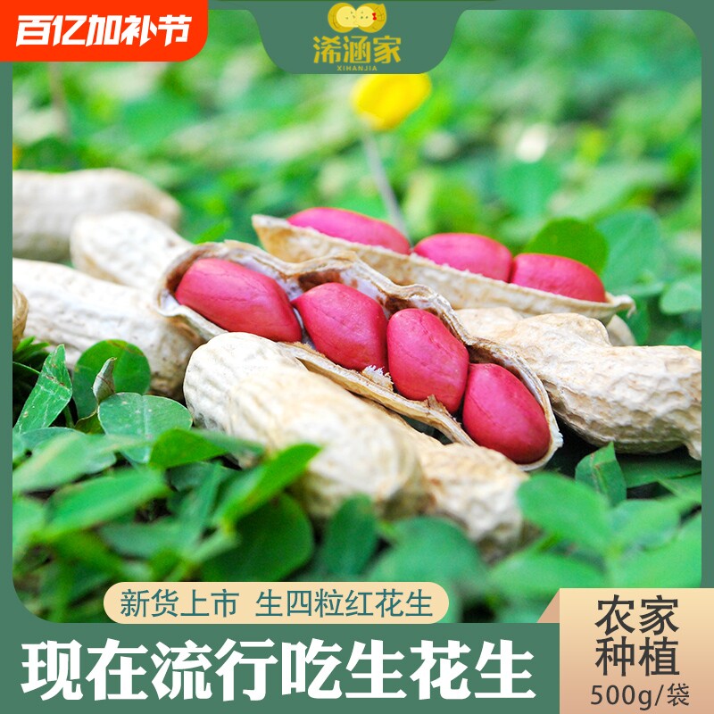 25年红皮花生米新货5斤四粒红新鲜晒干红衣小花生原味带壳生花生