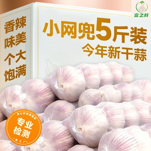 大蒜头2025年金乡大蒜新鲜干装蒜籽蔬菜批发紫皮特大果新干蒜