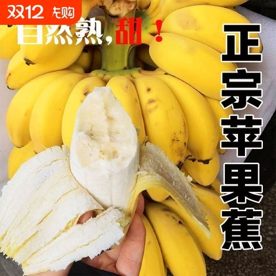 正宗苹果蕉大果无添加