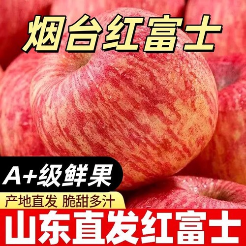 正宗烟台红富士苹果新鲜水果