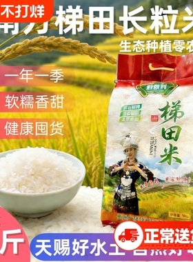 贵州农家长粒香米一级大米当季新米高山优质稻香梯田10斤年货生态