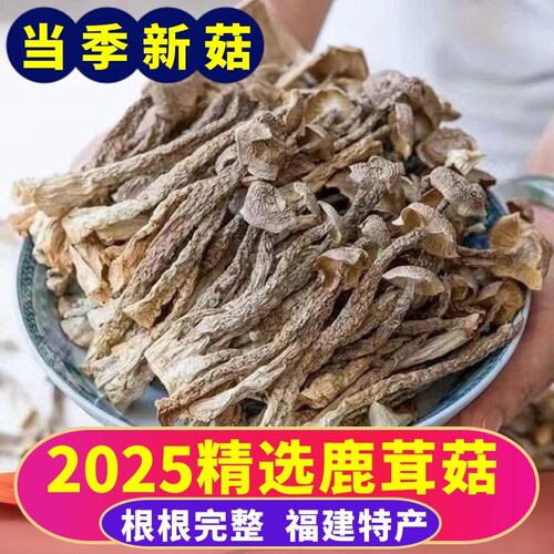 【新货】鹿茸菇干货无熏硫整根无碎无干燥剂农家手工精选煲汤食材