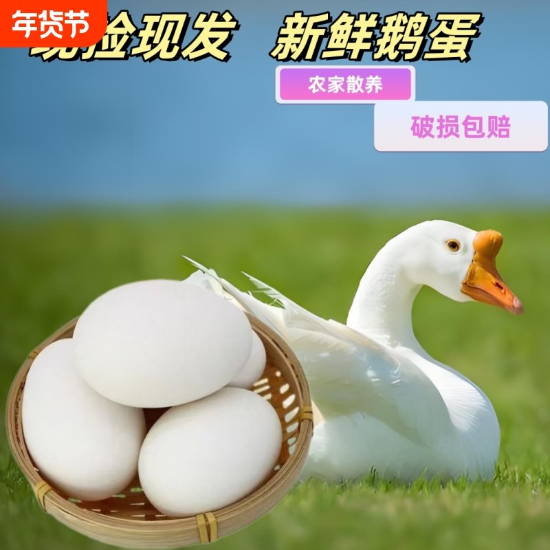 农家散养土鹅蛋新鲜生态鹅蛋孕妇宝宝健康营养新鲜现捡大鹅蛋,水产肉类/新鲜蔬果/熟食,鹅蛋,淘宝优惠券,粉丝福利购,淘宝优惠卷