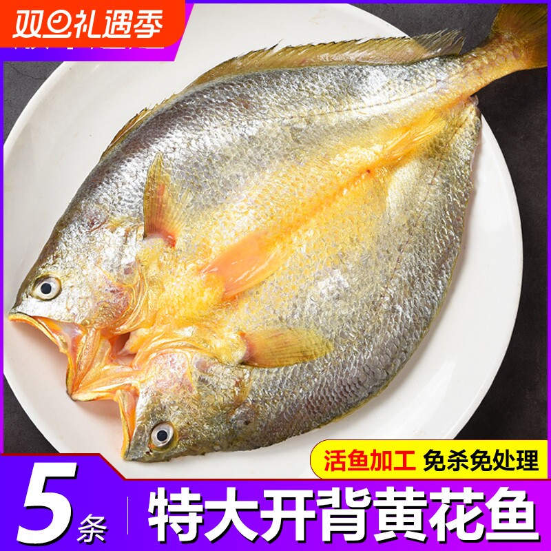 福建宁德霞浦黄鱼鲞干货新鲜开背黄花鱼大黄鱼三去小黄鱼海鲜海鱼