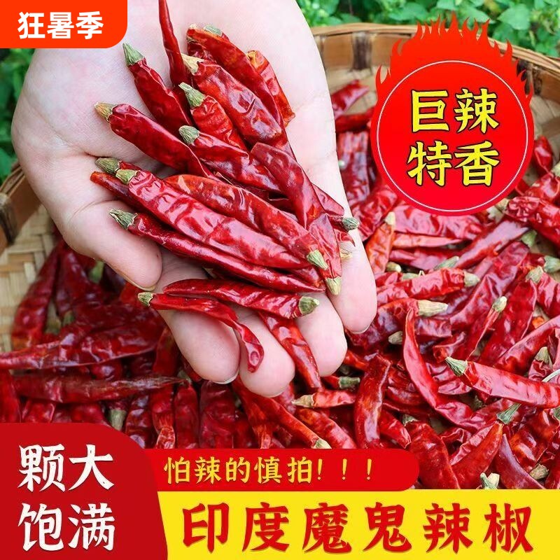 印度魔鬼干辣椒家用商用魔鬼辣椒面中粗细粉超辣爆辣巨辣特辣香辣
