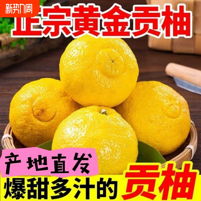正宗洪江湖南怀化黄金贡柚雪峰山大果新鲜水果象山青手剥桔春香柚
