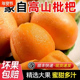 顺丰上门正宗蒙自枇杷新鲜琵琶孕妇可吃当季整箱鲜甜多汁送枇杷叶