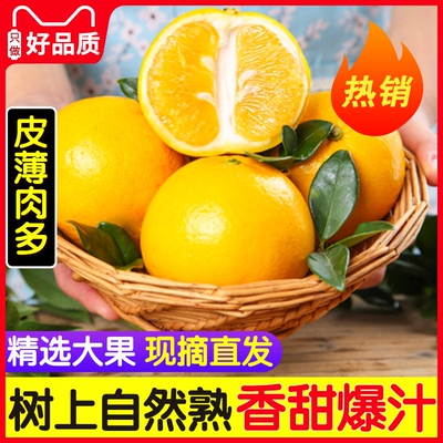 黄金葡萄柚整箱爆汁新鲜柚子包邮