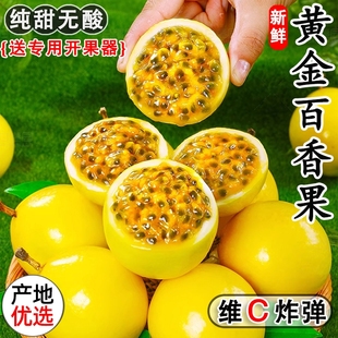 5斤 大果当季 钦蜜9号黄金百香果新鲜水果1 包邮 黄金果 爆甜