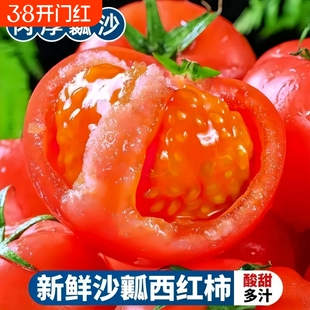 正宗沙瓤番茄生吃西红柿自然熟酸甜平衡现摘小果果肉紧实包邮新鲜