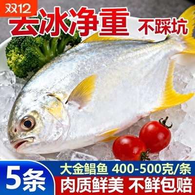 新鲜鲳鱼5斤5条速冻水产金昌