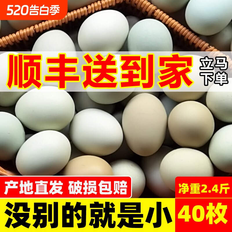 顺丰送丨乌鸡蛋40枚整箱新鲜绿壳山鸡蛋正宗农村散养土鸡蛋初生