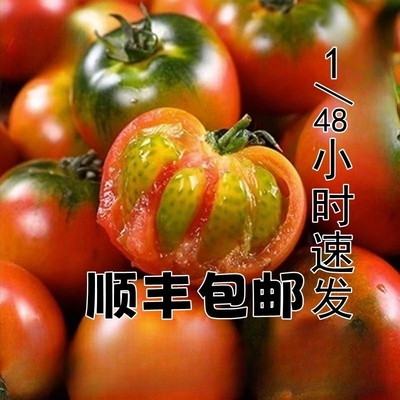 东北铁皮草莓柿子|超1000次加购