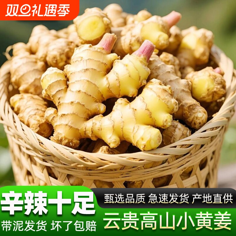 正宗云南小黄姜生姜老姜嫩姜月子姜非山东老姜大黄姜产地直发包邮
