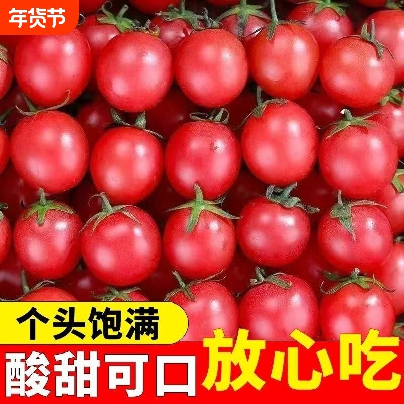 正宗千禧果超甜小番茄圣女果新鲜水果包邮千禧小番茄小西红柿,水产肉类/新鲜蔬果/熟食,番茄,淘宝优惠券,粉丝福利购,淘宝优惠卷