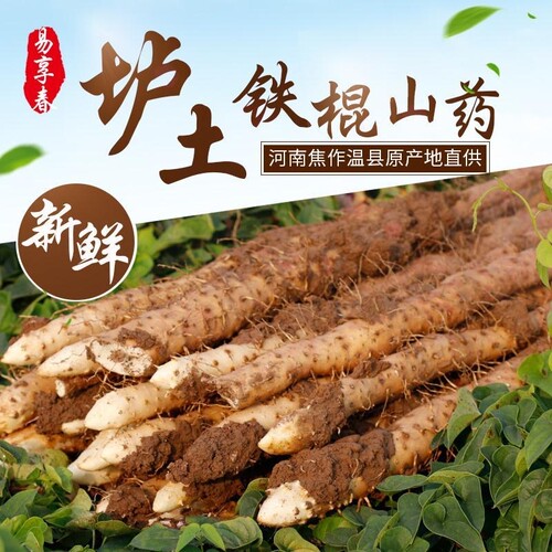 优选温县垆土铁棍山药河南焦作怀山淮山药新鲜正宗斤特产新鲜山药