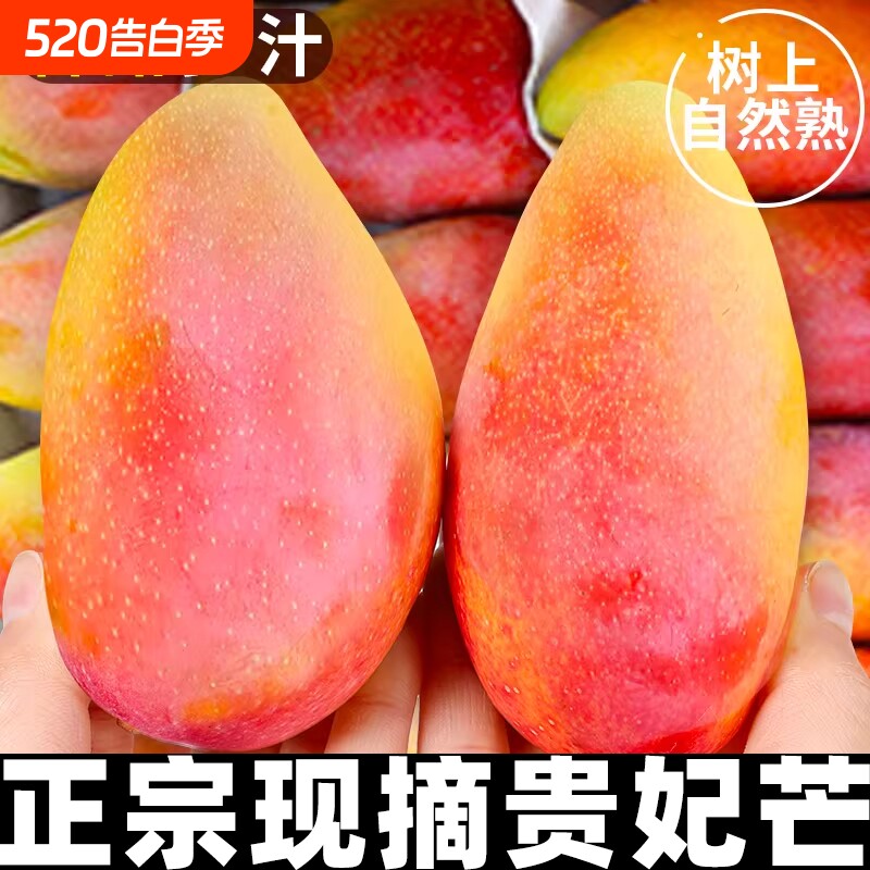 现摘贵妃芒新鲜芒果应当季水果树上熟红金龙辣椒芒甜心芒果整箱5