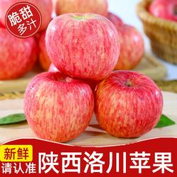 陕西洛川红富士苹果新鲜水果脆甜精选大果陕北延安冰糖心包邮