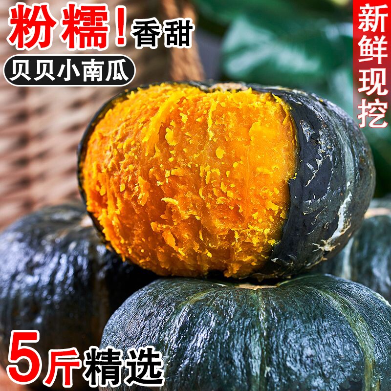 正宗贝贝南瓜5斤板栗味小南瓜婴儿辅食农家自种新鲜蔬菜粉糯老瓜