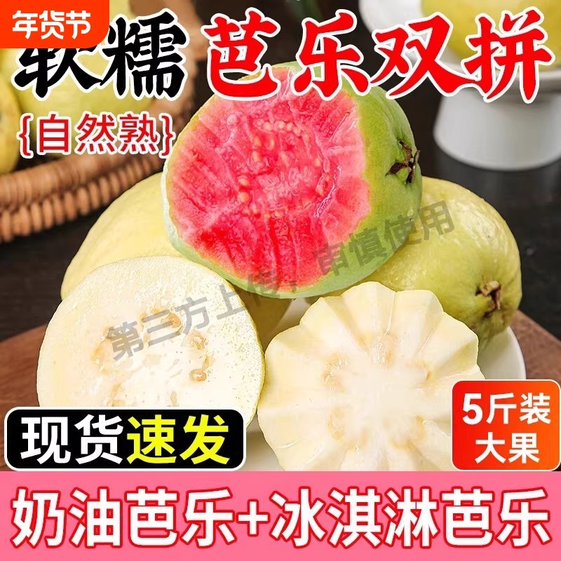 双拼红白心芭乐广西软糯水果新鲜应季胭脂红鸡屎果番石榴包邮南方,水产肉类/新鲜蔬果/熟食,番石榴/芭乐,淘宝优惠券,粉丝福利购,淘宝优惠卷