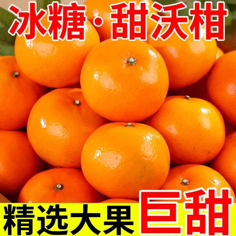 当季爆款广西武鸣沃柑现摘新鲜桔子爆甜多汁薄皮大果整箱产地直发