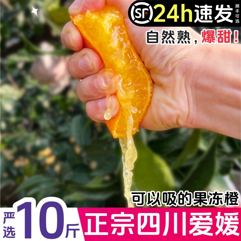 爱媛38号果冻橙10斤新鲜