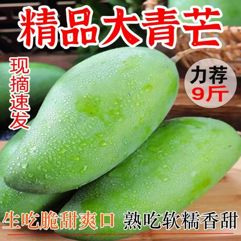 越南进口大青芒生熟两吃高山薄核新鲜脆甜青芒果应季水果甜蜜多汁