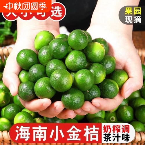 新鲜金桔水果奶茶用海南小金桔