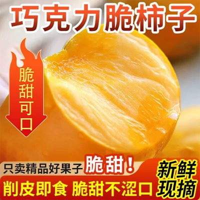 山西脆柿子特大果王脆甜不涩口