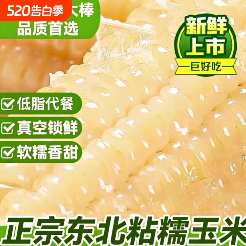 东北正宗白糯玉米棒黏糯玉米新鲜早餐加热即食香甜真空优选软糯